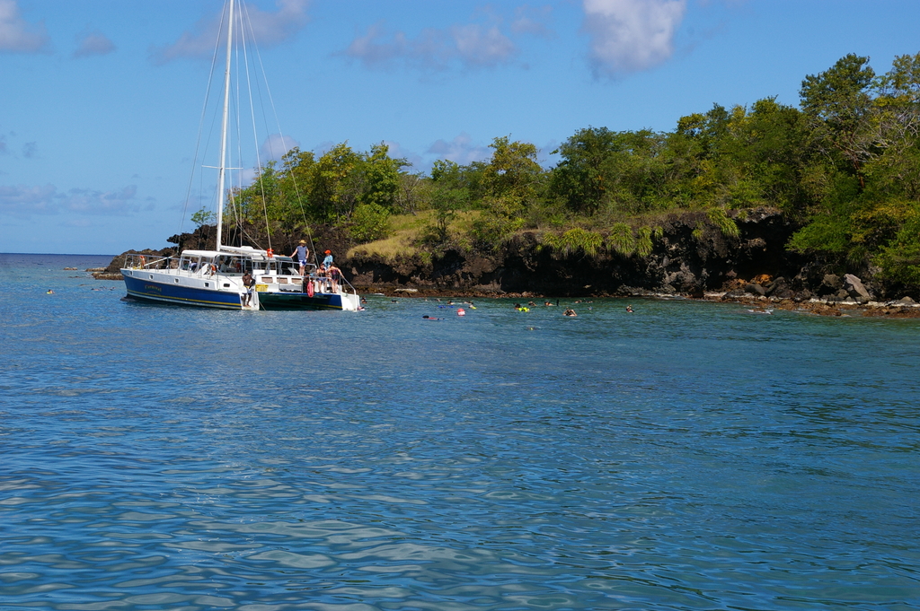 St_Lucia_2011-02-21_19