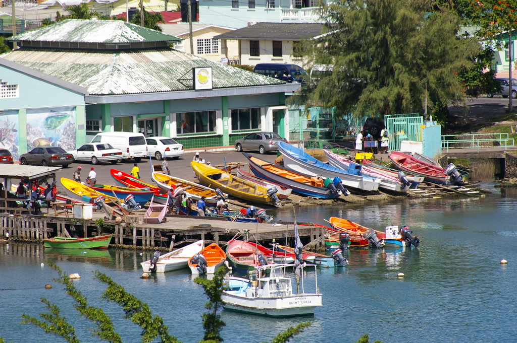 St_Lucia_2011-02-21_60