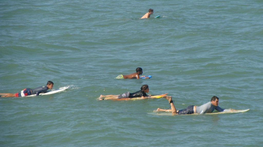 Surfers