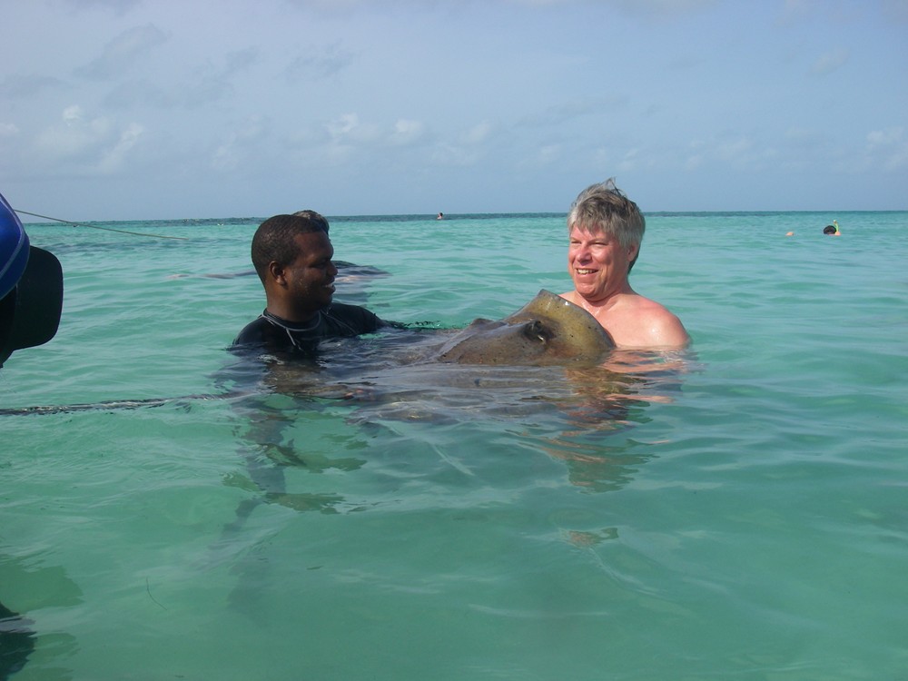 The stingray excursion