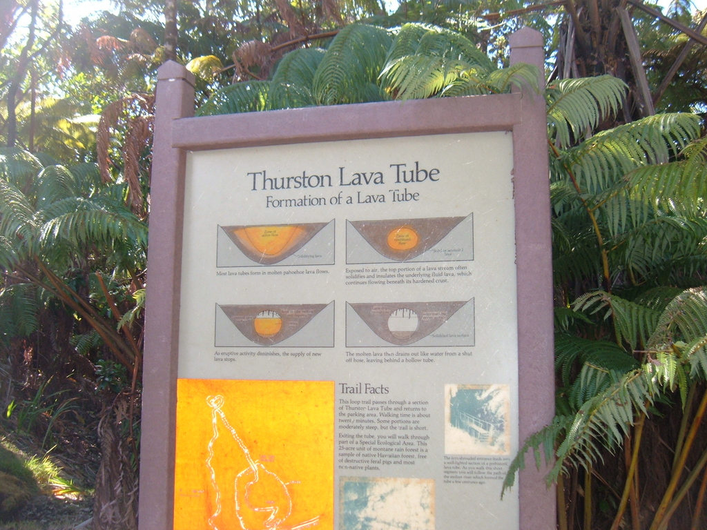 Thurston Lava Tube