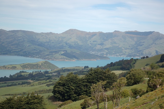 to akaroa2.jpg