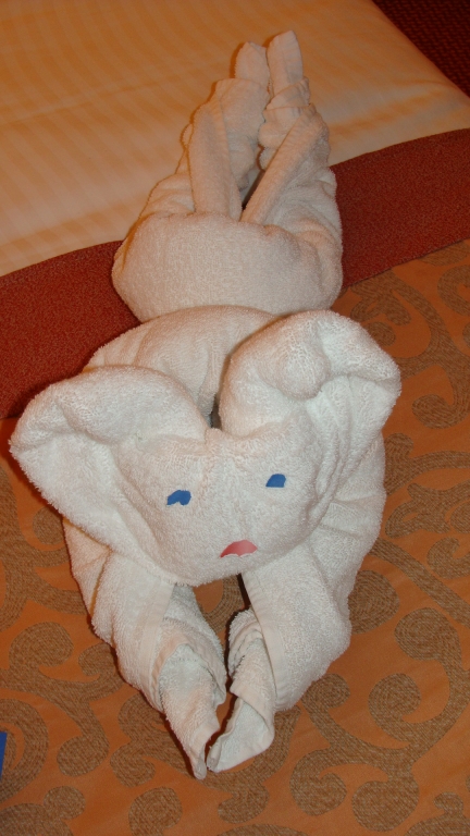 Tonight's Towel Animal