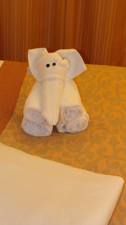 Tonights Towel Animal