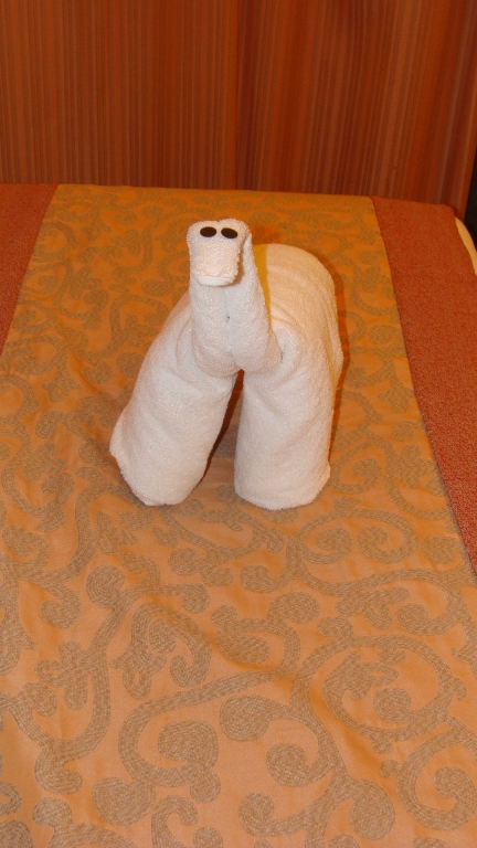 Tonight's towel animal