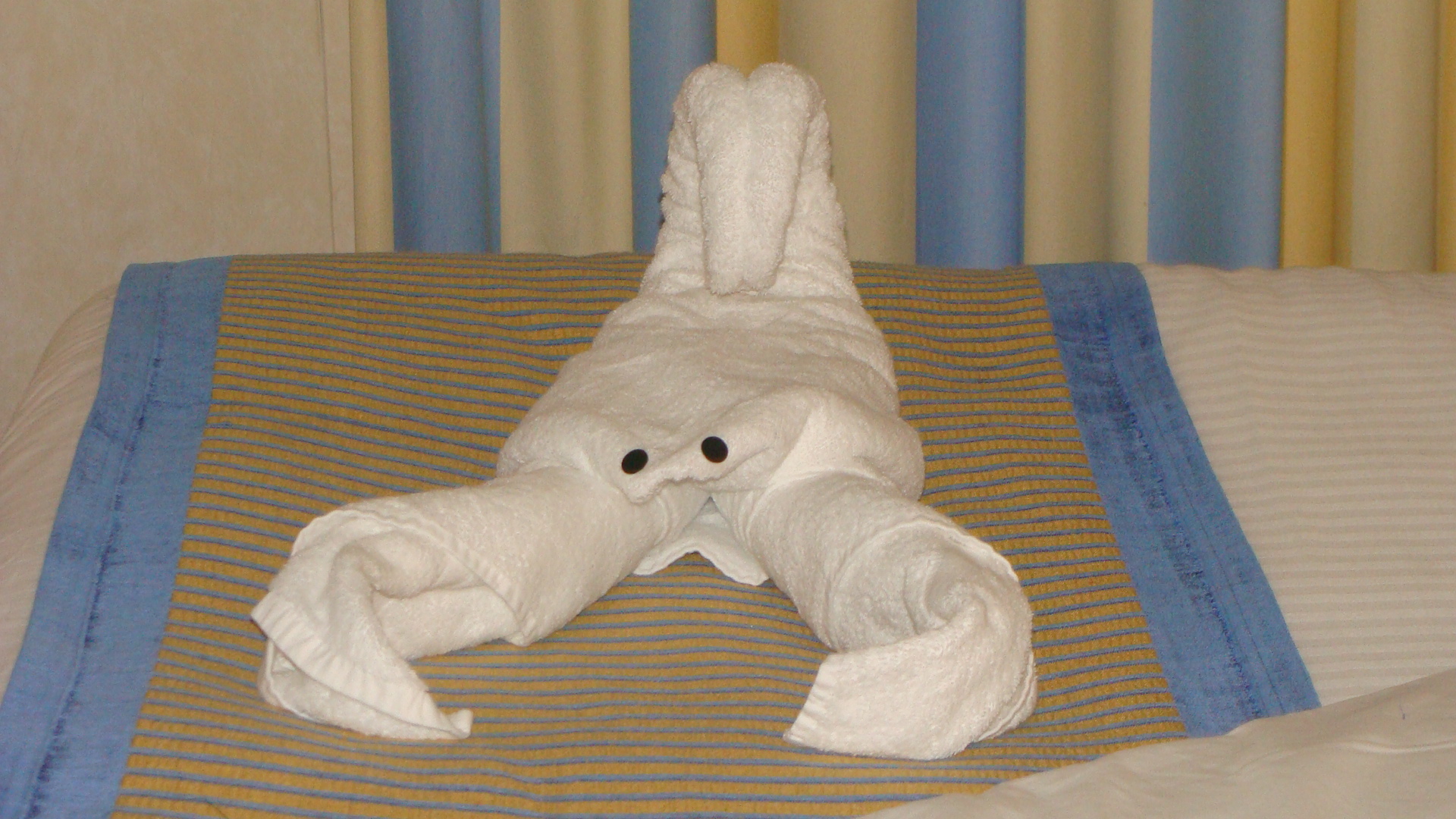 Tonight's towel animal