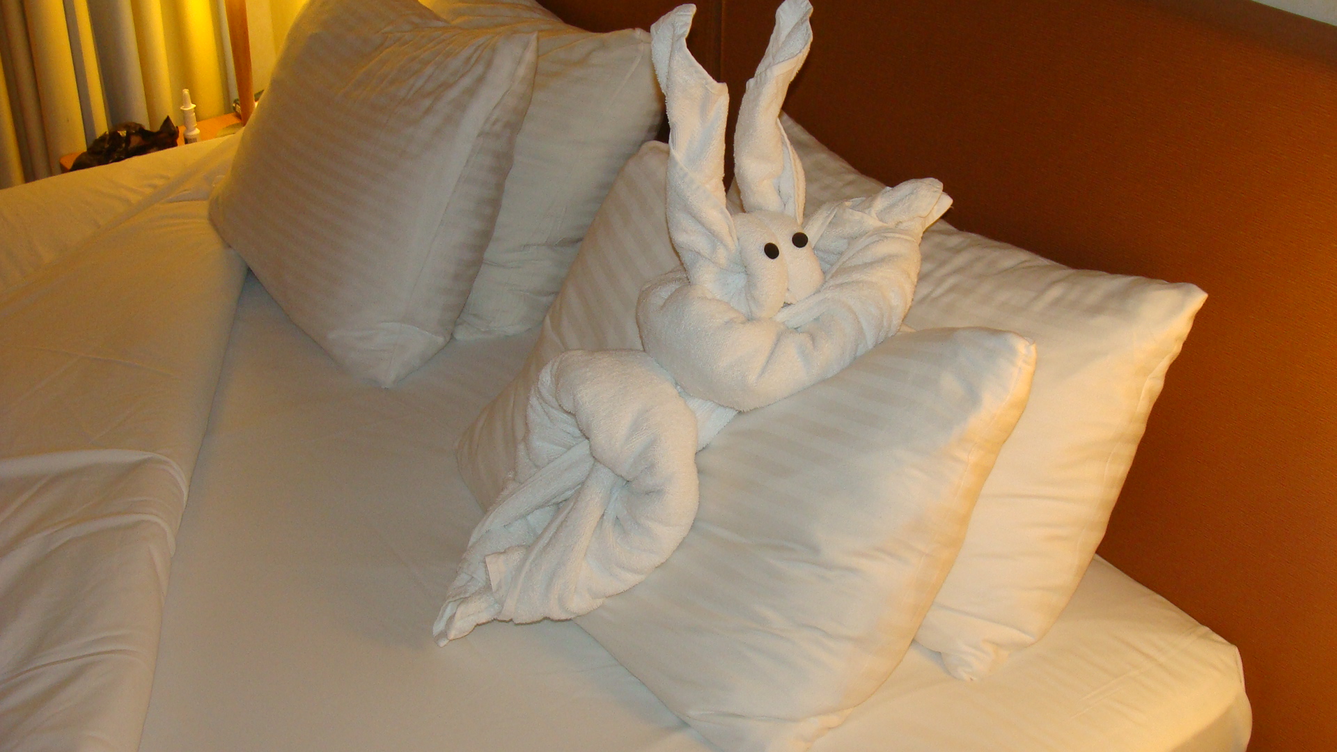 Tonight's turndown service