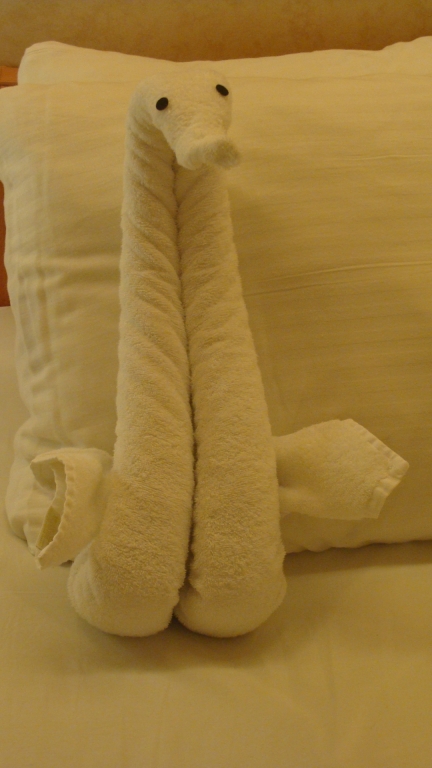 Tonight's turndown & towel animal