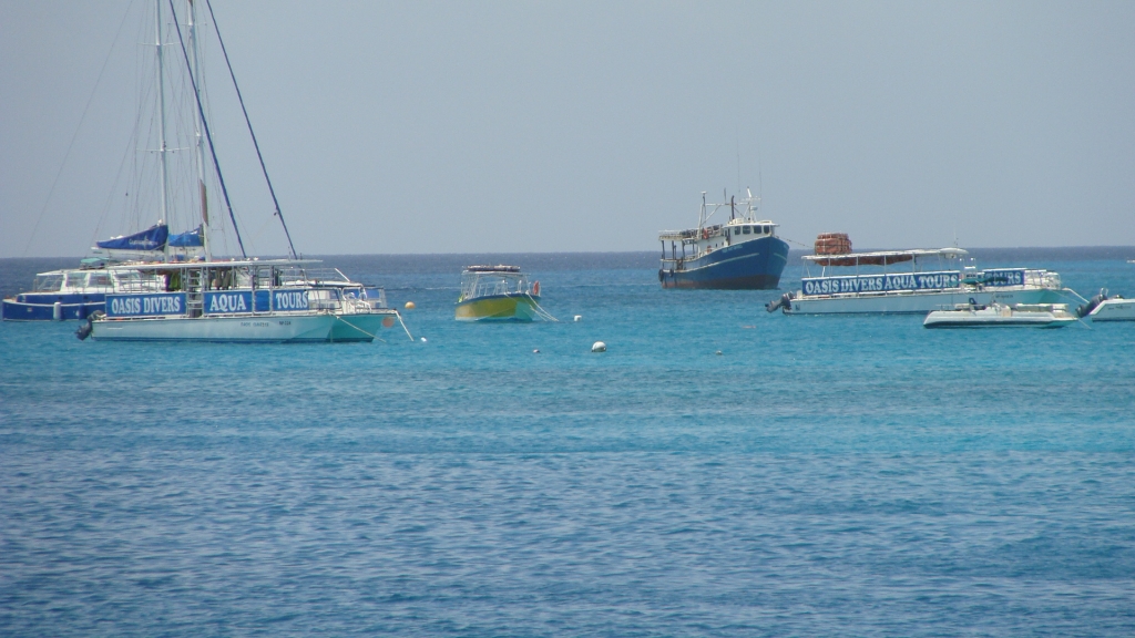 Tour Boats