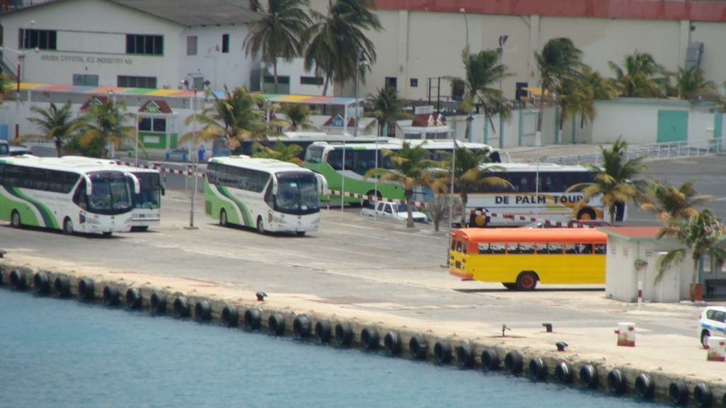 Tour buses lined up