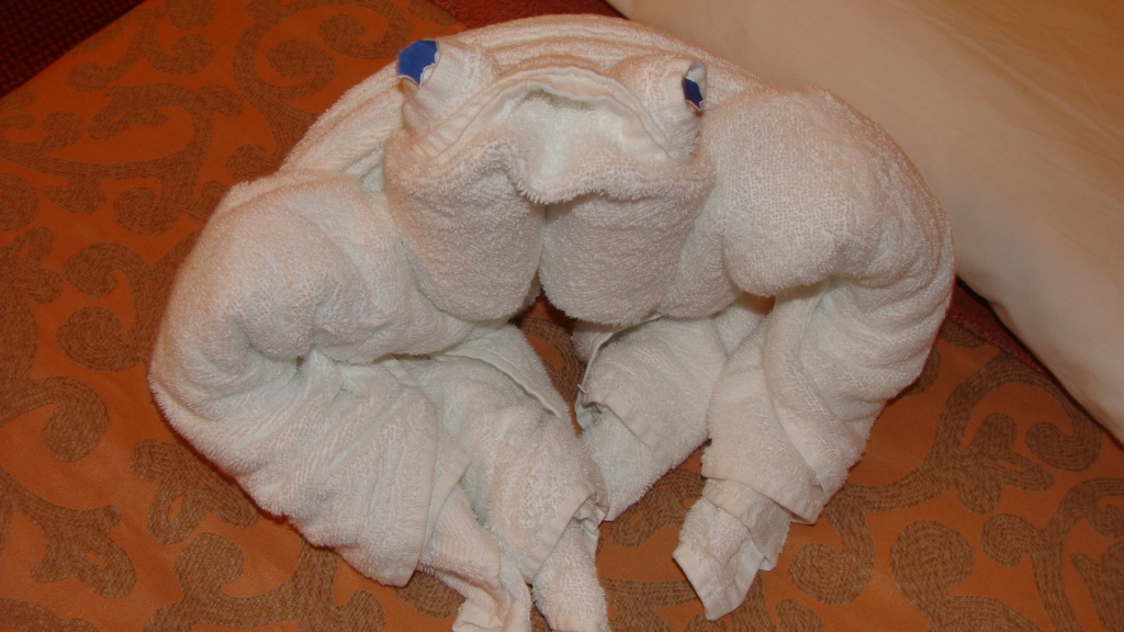 Towel Animal