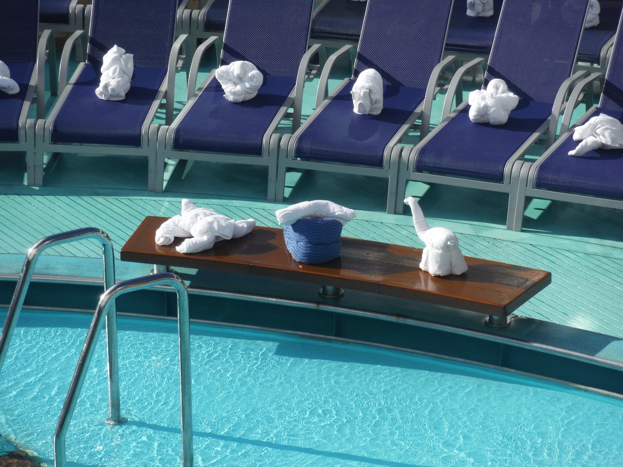 Towel creatures by the Beach Pool