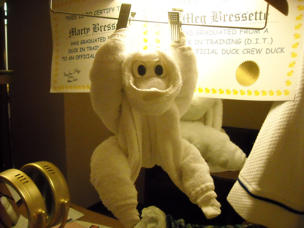 Towel Monkey