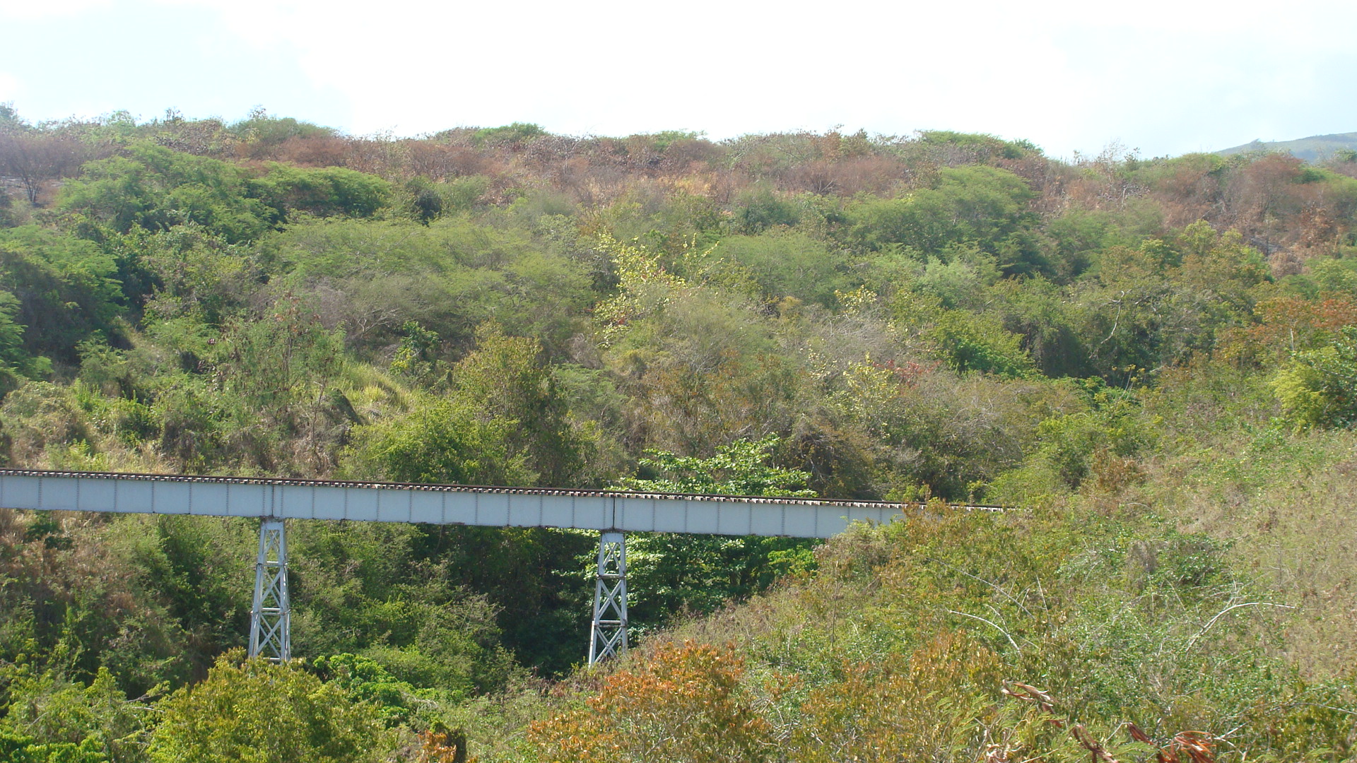 Trestle we just crossed