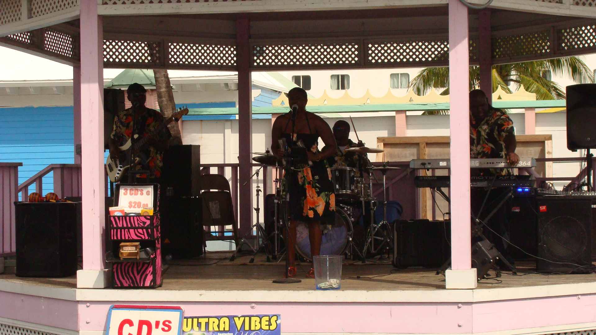 Ultra Vibes performs in gazebo