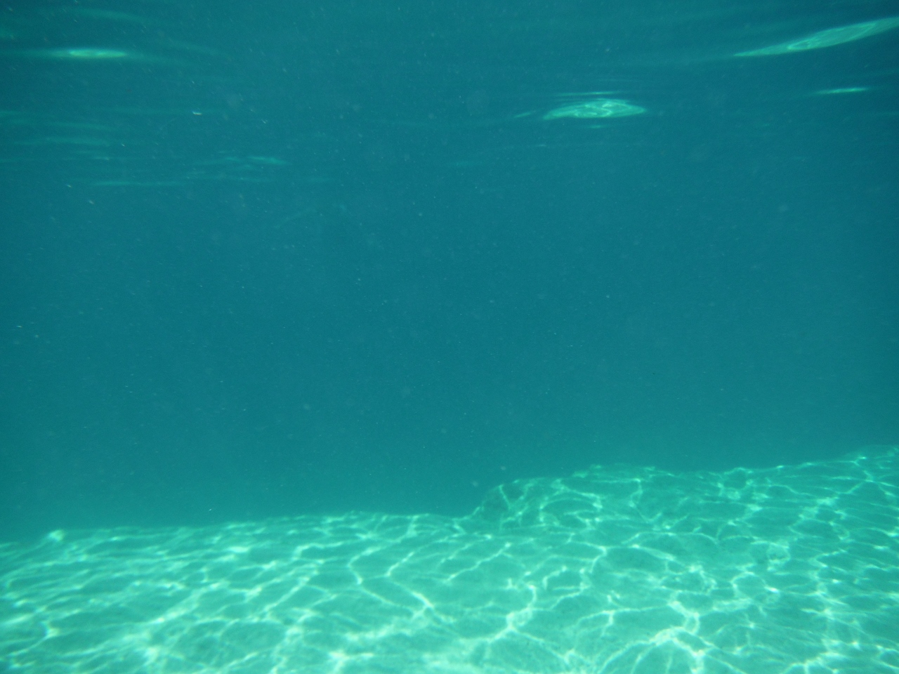 Underwater shot