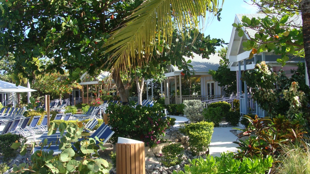 View of the cabanas