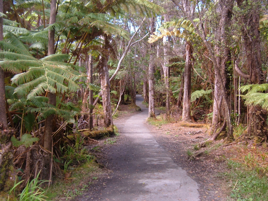 Walkway Thurston Lava Tube