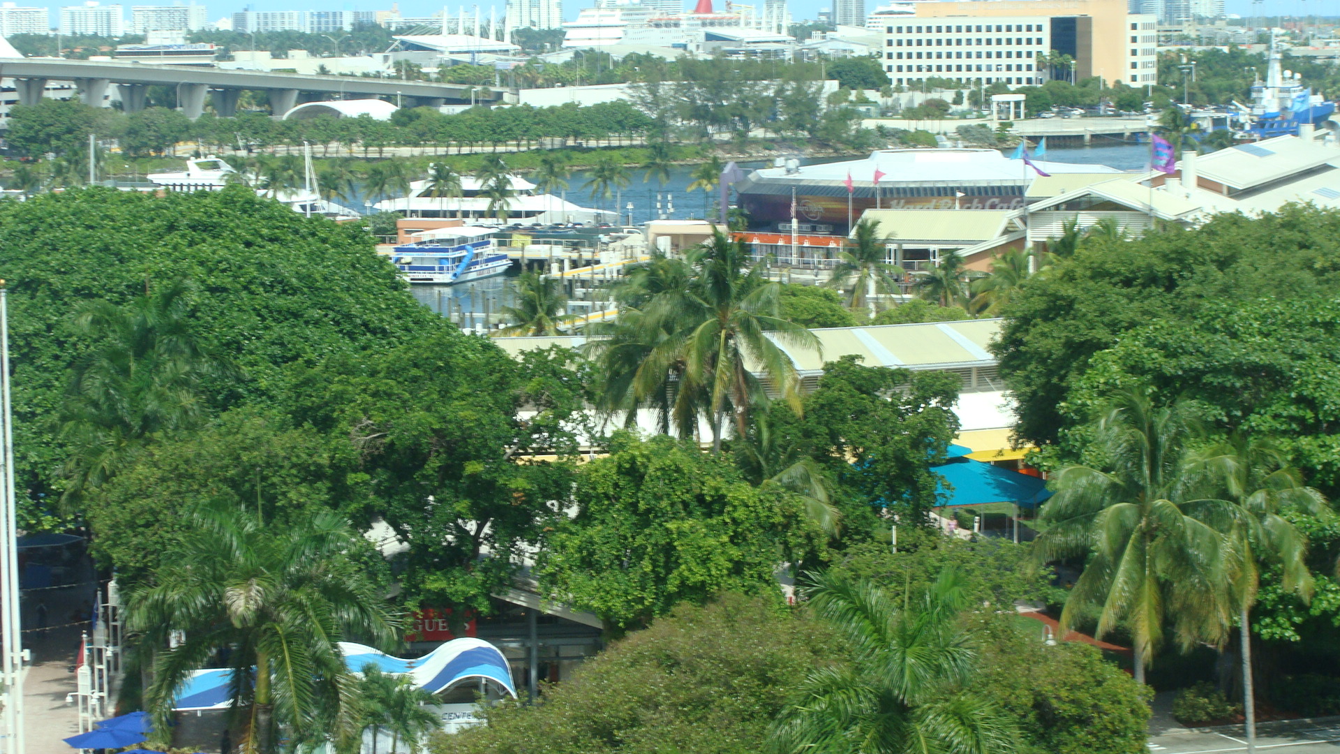 Window view - Bayside