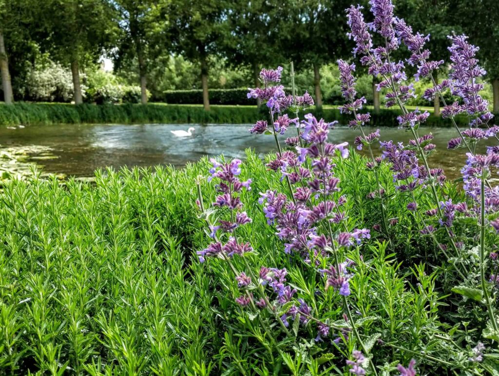 Le Jardin des Personnalites