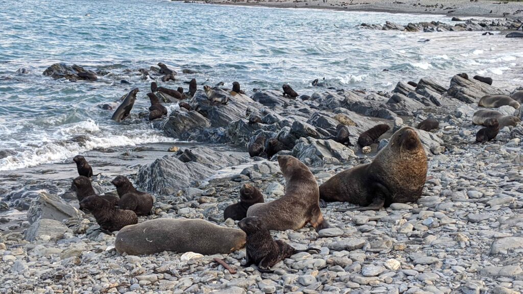5 Reasons to Take an Expedition Cruise to Antarctica | 9