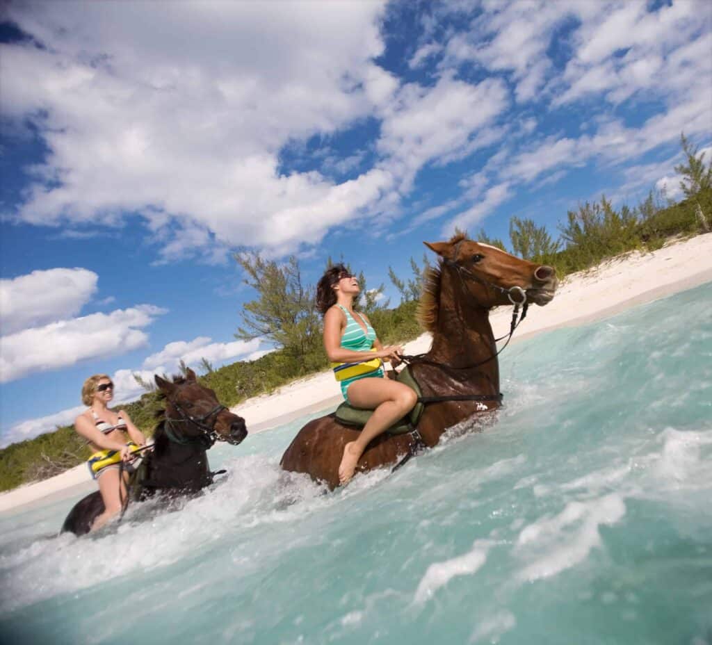Holland America Line's Half Moon Cay Voted Best Private Island for 20th Year 15 Half Moon Cay Bahamas Horseback Ride Excursion