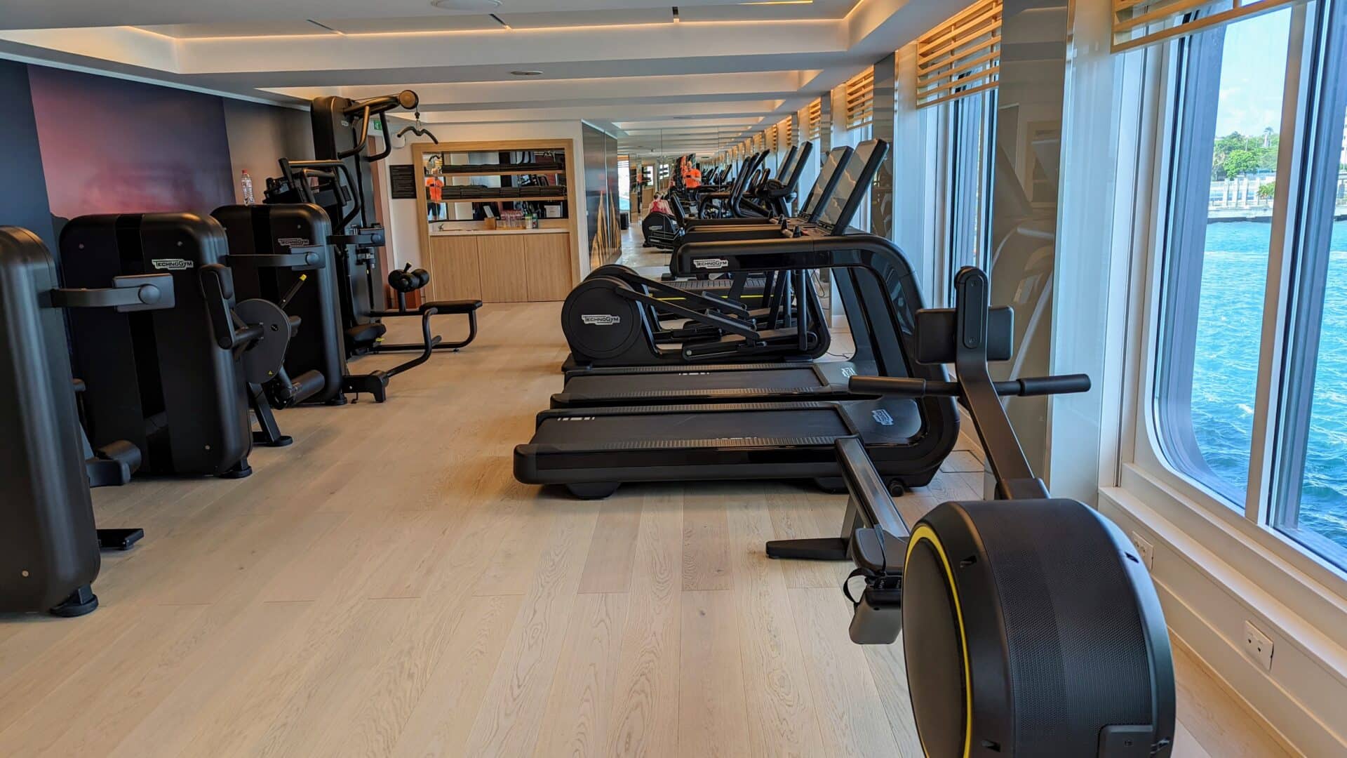 viking cruise ship gym